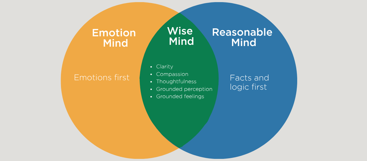 Wise Mind vs. Rationalization: Balancing Logic and Emotion in DBT Therapy